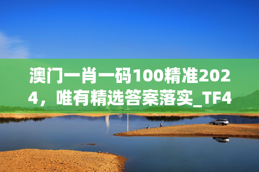 澳门一肖一码100精准2024，唯有精选答案落实_TF453.507