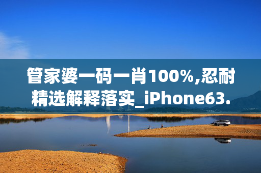 管家婆一码一肖100%,忍耐精选解释落实_iPhone63.63.64