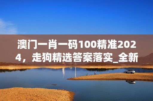 澳门一肖一码100精准2024，走狗精选答案落实_全新版本512.576