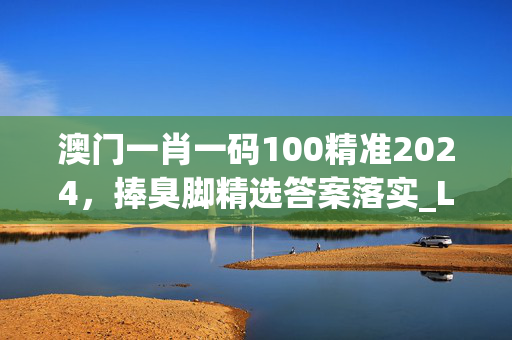 澳门一肖一码100精准2024，捧臭脚精选答案落实_LF85.519