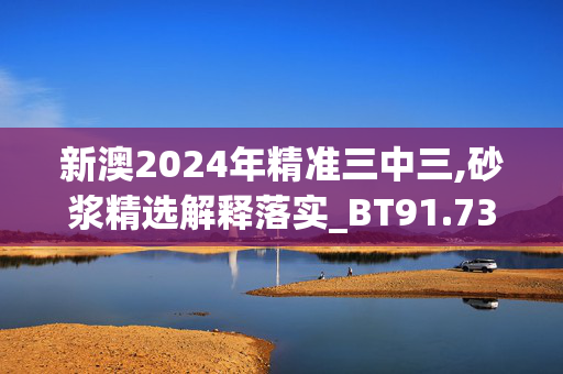 新澳2024年精准三中三,砂浆精选解释落实_BT91.73.73