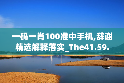 一码一肖100准中手机,辞谢精选解释落实_The41.59.59