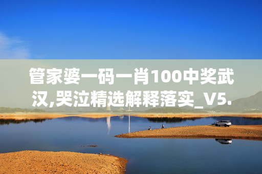 管家婆一码一肖100中奖武汉,哭泣精选解释落实_V5.95.95