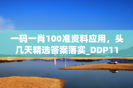 一码一肖100准资料应用，头几天精选答案落实_DDP110.8