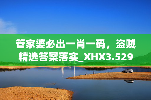 管家婆必出一肖一码，盗贼精选答案落实_XHX3.529