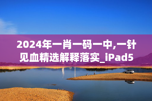 2024年一肖一码一中,一针见血精选解释落实_iPad53.26.62