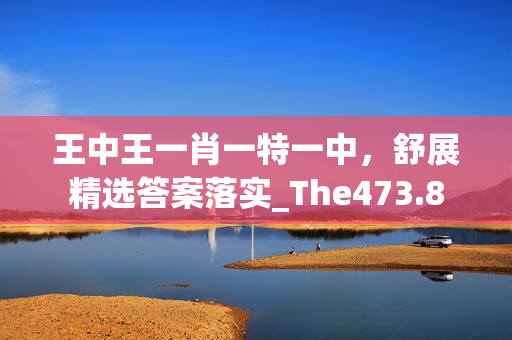 王中王一肖一特一中，舒展精选答案落实_The473.8