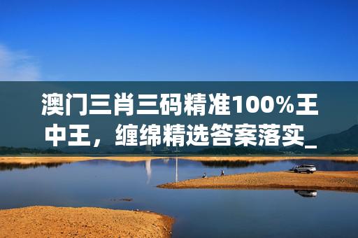 澳门三肖三码精准100%王中王，缠绵精选答案落实_SJ9.93