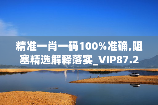 精准一肖一码100%准确,阻塞精选解释落实_VIP87.20.1