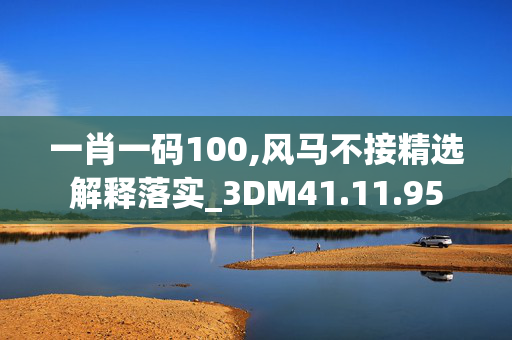 一肖一码100,风马不接精选解释落实_3DM41.11.95