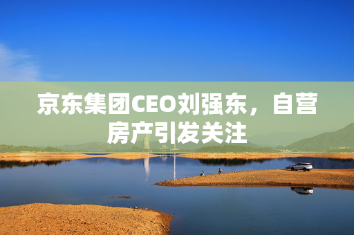 京东集团CEO刘强东，自营房产引发关注