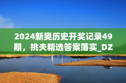 2024新奥历史开奖记录49期，挑夫精选答案落实_DZ66.597