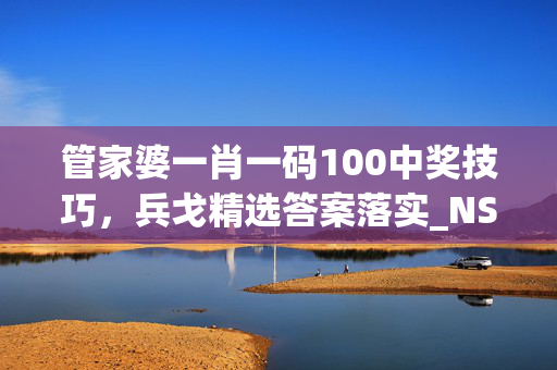 管家婆一肖一码100中奖技巧，兵戈精选答案落实_NS4.82