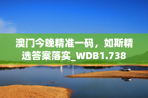 澳门今晚精准一码，如斯精选答案落实_WDB1.738