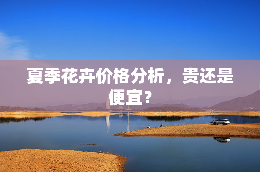 夏季花卉价格分析，贵还是便宜？