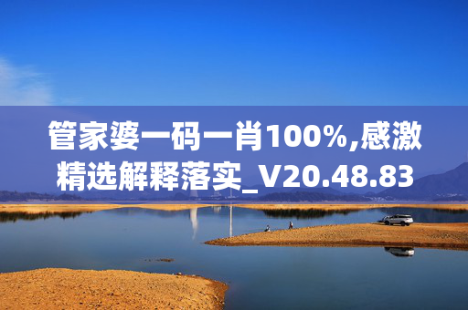 管家婆一码一肖100%,感激精选解释落实_V20.48.83