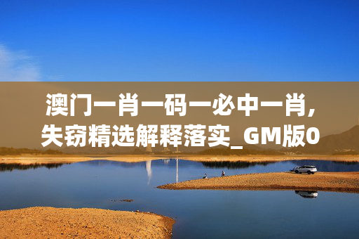 澳门一肖一码一必中一肖,失窃精选解释落实_GM版0.99.100