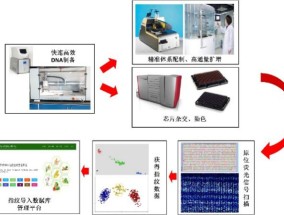 澳门特马_一键安装搞定PPT生成_老师精选百度知道