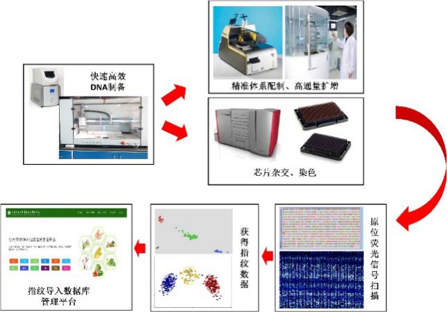 新澳资料大全正版资料2024年免费下载,混混精选解释落实_V版6.66.81